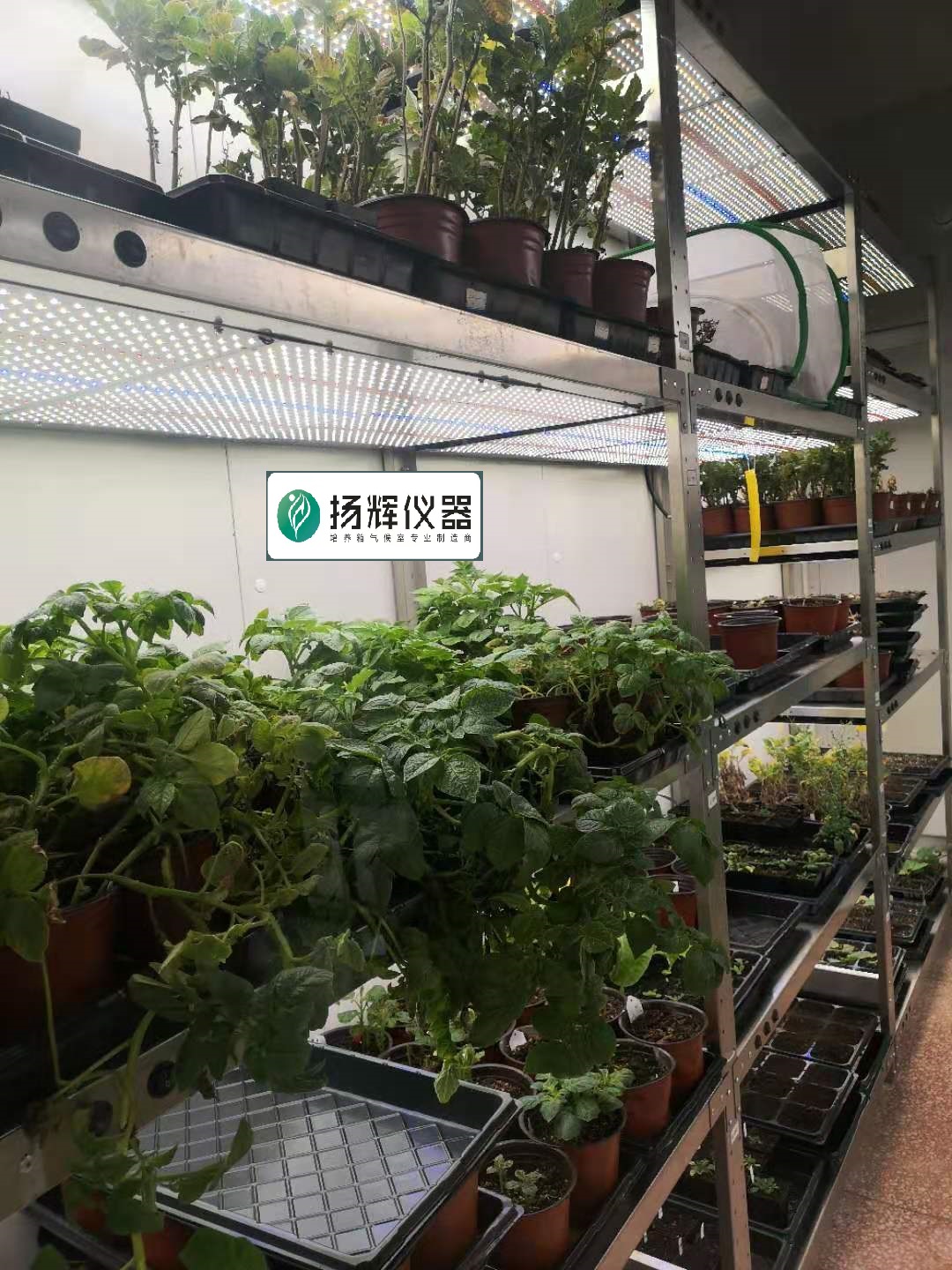 1668911332103717.jpg 氣候室2.jpg